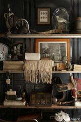 Collectors Library by Jonathan Rachman Design